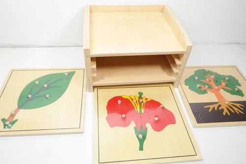 3 puzzles botanique avec une boite